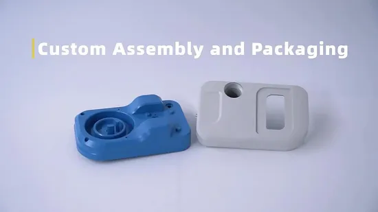 Plastic Injection Molding Parts Custom Processing Service Products ABS Shell Injection Mold